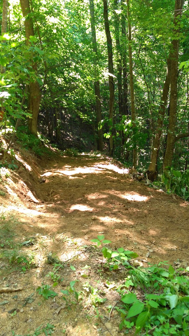 5. Newold raking (2)