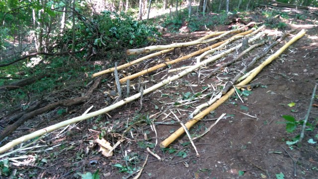 Debarked logs for recipricol roof