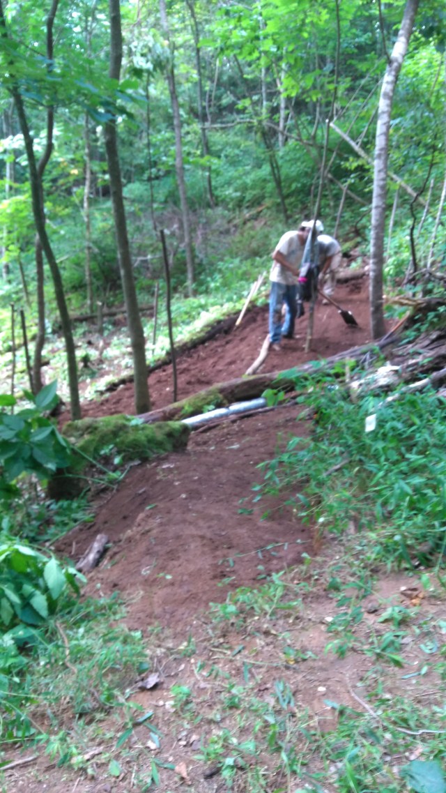 Garden Creation late july 2017 (4)