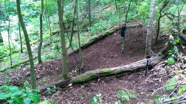 Jolly good job of clearing garden area June 2017