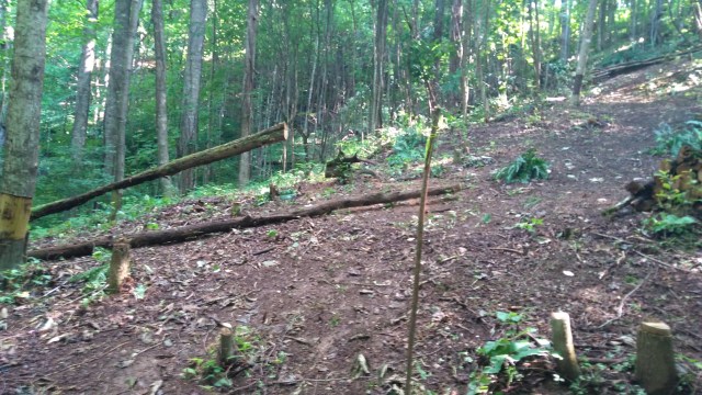 HSB mid July 2017 (5)